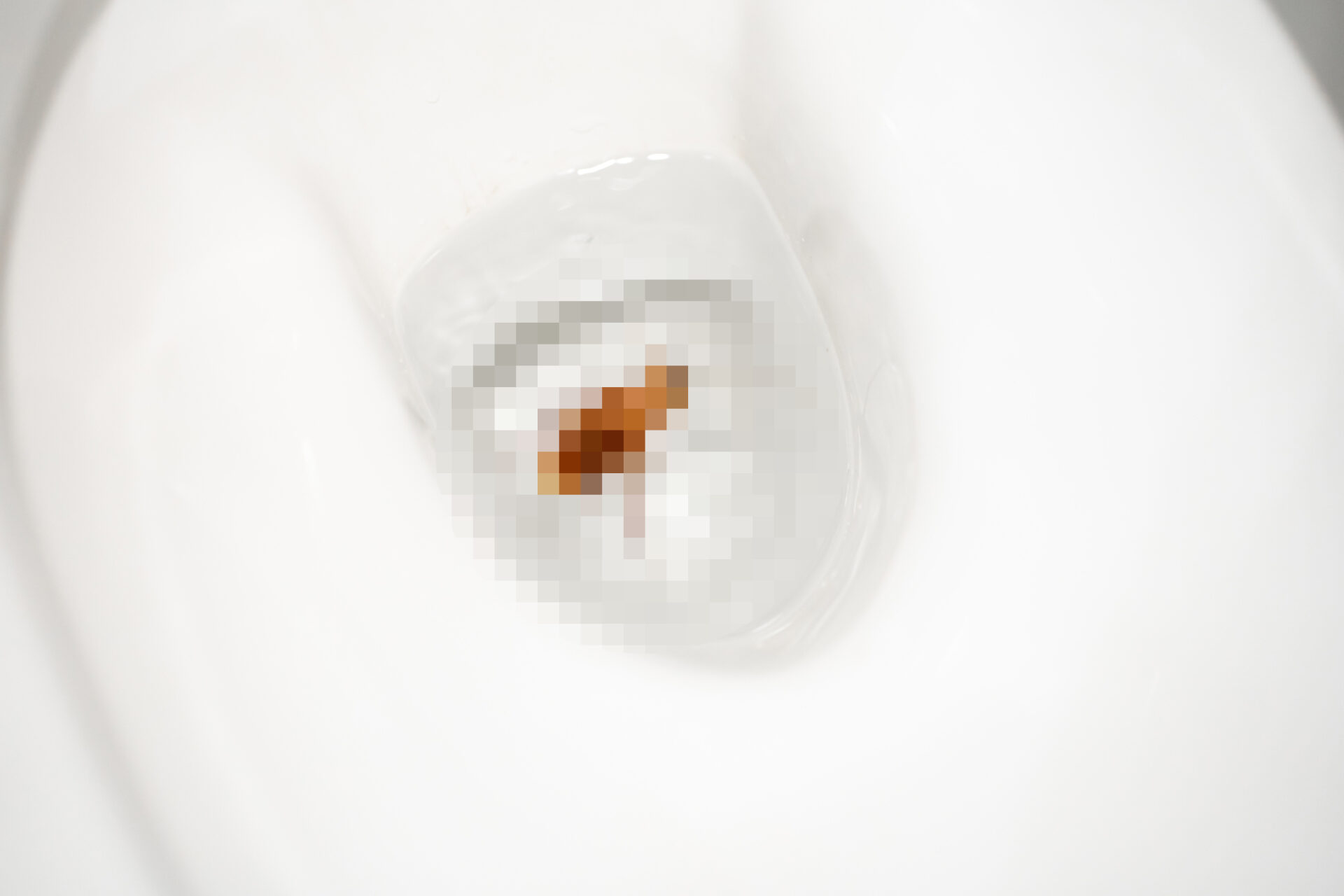 トイレに落ちたゴキブリ