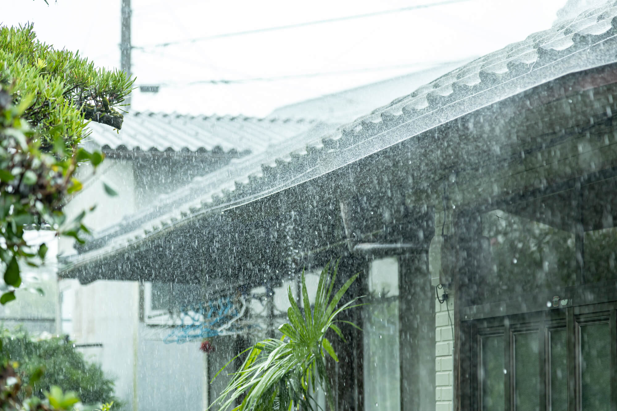 雨どいと大雨