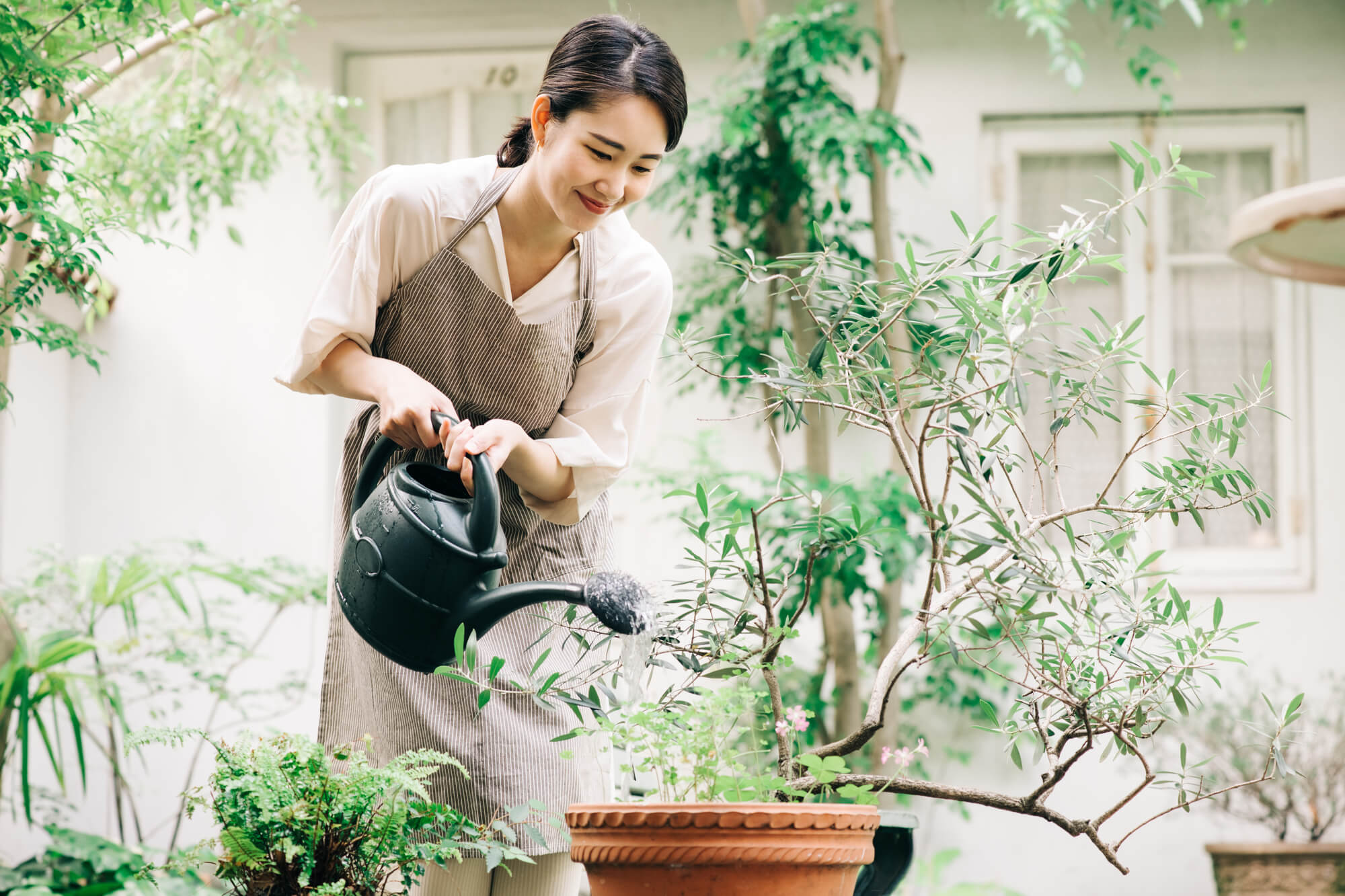 虫除けのハーブを育てる女性