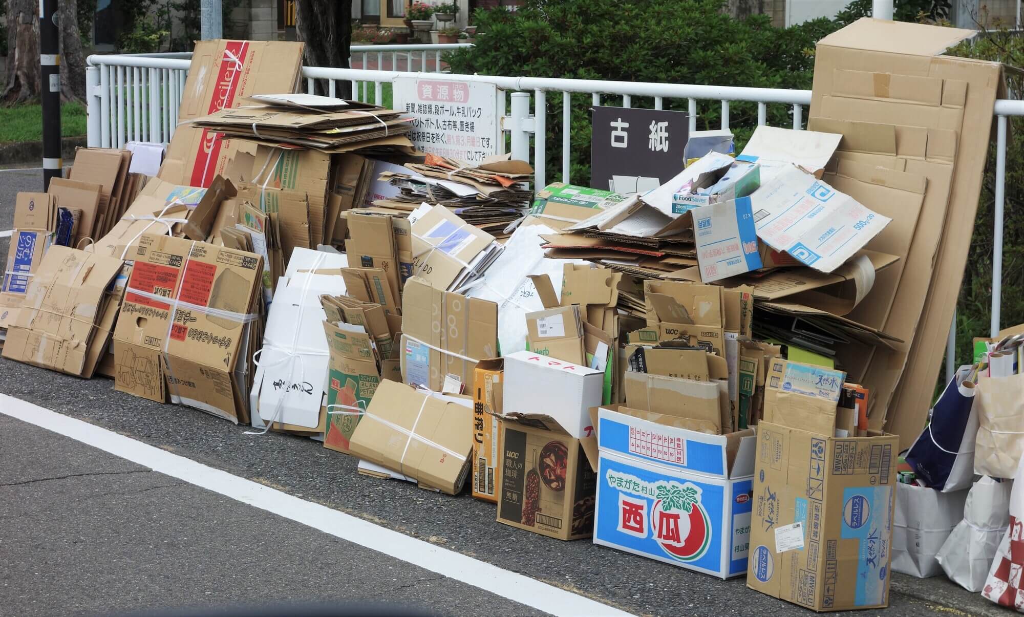 虫が付く前に段ボールを捨てる