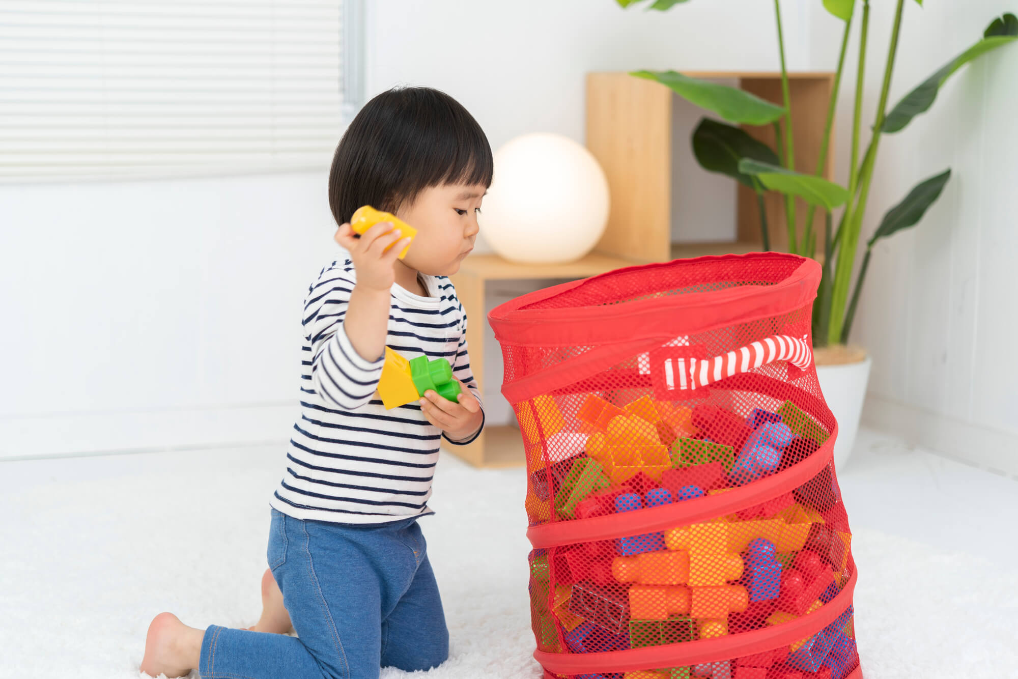 防災の観点から片付ける